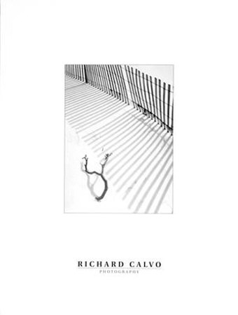 Snowfence And Branch by Richard Calvo Pricing Limited Edition Print image