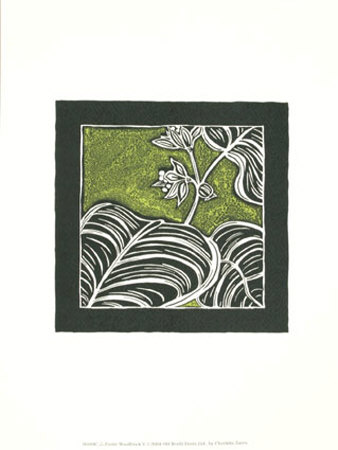 Exotic Woodblock In Green V by Chariklia Zarris Pricing Limited Edition Print image