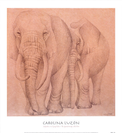 Elefantes En El Papel Dos by Caroline Luzon Pricing Limited Edition Print image
