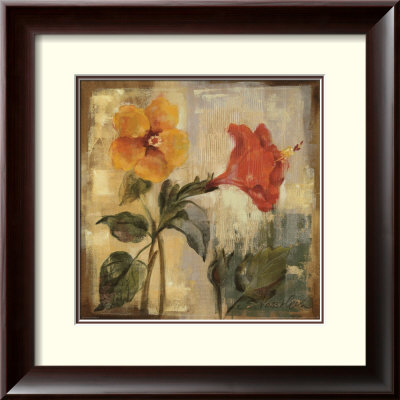 Flamboyant Hibiscus I by Silvia Vassileva Pricing Limited Edition Print image