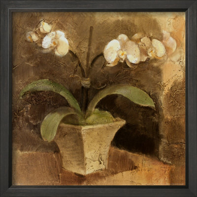 Serene Orchids Ii by Albena Hristova Pricing Limited Edition Print image