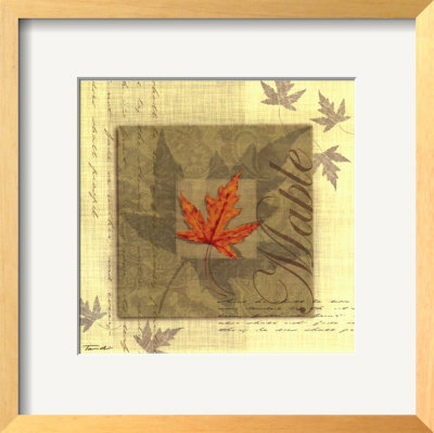Maple by Tandi Venter Pricing Limited Edition Print image
