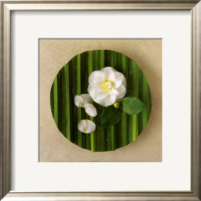Flower Tray by Cora Buttenbender Pricing Limited Edition Print image