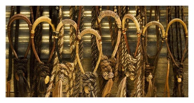 Fancy Bridles by Robert Dawson Pricing Limited Edition Print image