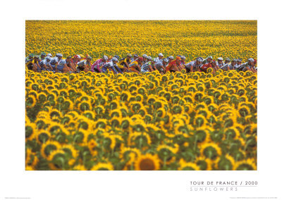 Tour De France, 2000 by Graham Watson Pricing Limited Edition Print image