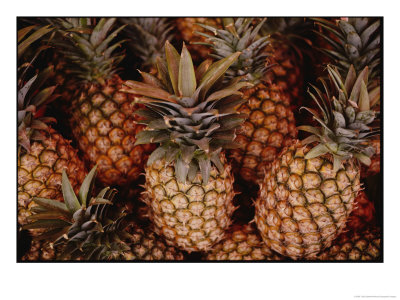 A Group Of Pineapples At An Open-Air Fruit Market by Todd Gipstein Pricing Limited Edition Print image
