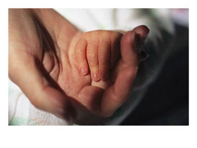 A Close View Of A Mother Holding Her Newborn Babys Hand by Joel Sartore Pricing Limited Edition Print image