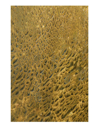 Algae And Bacteria In Thermal Runoff Near Hotsprings by Tom Murphy Pricing Limited Edition Print image