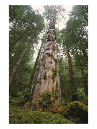 A Large Totem Pole Stands Amid Tall Trees In A Mossy Forest by Bill Curtsinger Pricing Limited Edition Print image