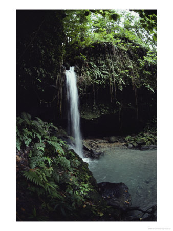 A Waterfall In A Lush Tropical Setting by Jodi Cobb Pricing Limited Edition Print image