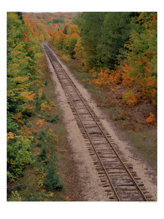 Railroad Tracks Between Autumn Foliage, Mi by Don Grall Pricing Limited Edition Print image