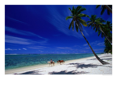 Riding Horses Along The Palm Fringed Beach At Tambua Sands Resort, Coral Coast, Viti Levu, Fiji by David Wall Pricing Limited Edition Print image