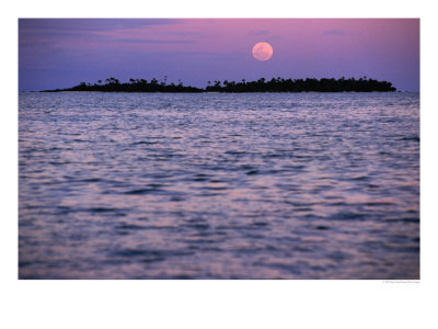 Full Moon At Sunset, Cook Islands by Peter Hendrie Pricing Limited Edition Print image