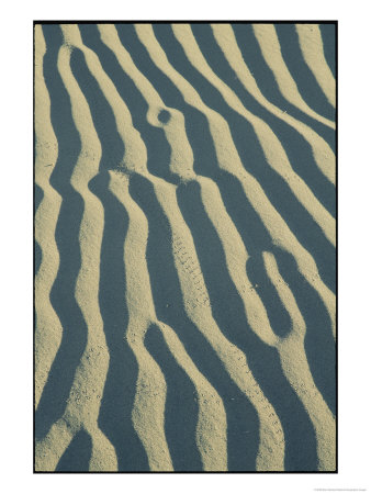 The Wind Creates Patterns In The Sand by Marc Moritsch Pricing Limited Edition Print image