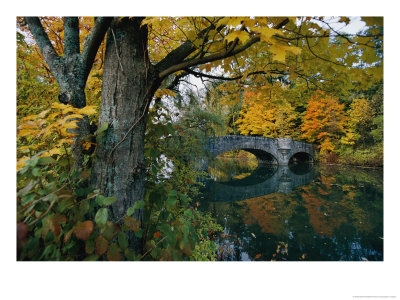 Autumnal View Of A Stone Bridge by Robert Madden Pricing Limited Edition Print image