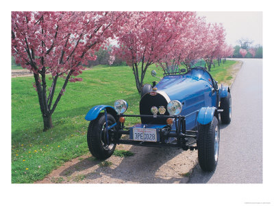 Bugatti Racecar And Cherry Blossoms by Claire Rydell Pricing Limited Edition Print image