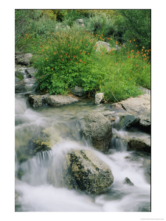 A Creek Flows Over Granite Rocks In The Sierra Nevada Mountains by Marc Moritsch Pricing Limited Edition Print image