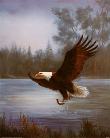 Eagle Fishing by M. Caroselli Pricing Limited Edition Print image