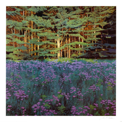 Shadowed Meadow Sunlit Pines by Jon R. Friedman Pricing Limited Edition Print image