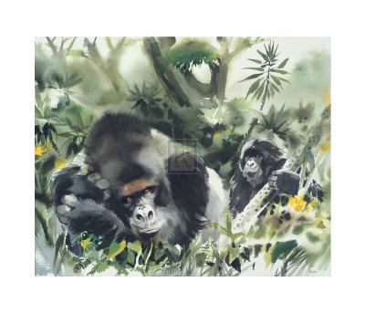 Mountain Gorillas by W. Weber Pricing Limited Edition Print image