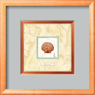 Sea Treasure Ii by Charlene Audrey Pricing Limited Edition Print image