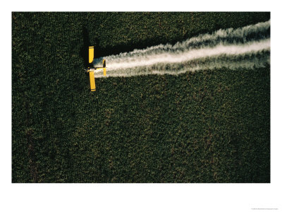 Aerial View Of A Crop Duster Spraying A Field Of Sugar Beets by Ira Block Pricing Limited Edition Print image