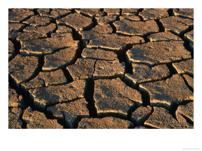 Overhead Of Mud Cracks, Usa by Carol Polich Pricing Limited Edition Print image