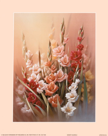 Gladiola by T. C. Chiu Pricing Limited Edition Print image