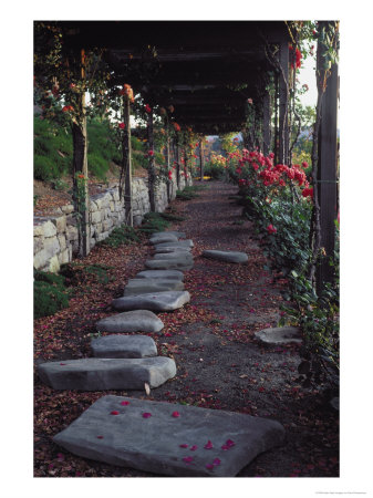 Rose Garden Path by David Wasserman Pricing Limited Edition Print image