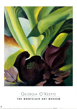 Skunk Cabbage, 1927 by Georgia O'keeffe Pricing Limited Edition Print image