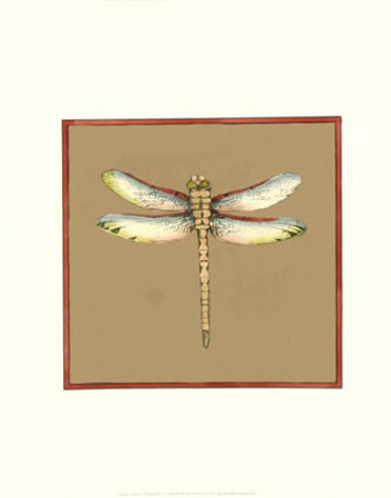 Solitary Dragonfly Ii by Jennifer Goldberger Pricing Limited Edition Print image