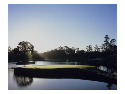 Tpc Sawgrass The Stadium Course, Hole 17 by Stephen Szurlej Pricing Limited Edition Print image