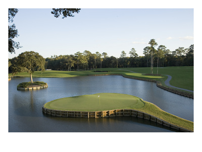 Tpc Sawgrass Stadium Course, Island Green, Hole 17 by Stephen Szurlej Pricing Limited Edition Print image