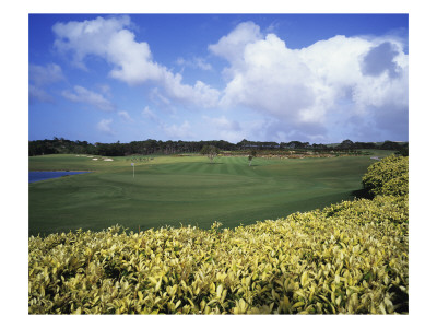 Sandy Lane Country Club Green Monkey, Hole 4 by J.D. Cuban Pricing Limited Edition Print image