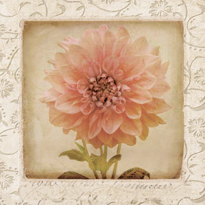 Dynamite Dahlia I by Linda Maron Pricing Limited Edition Print image