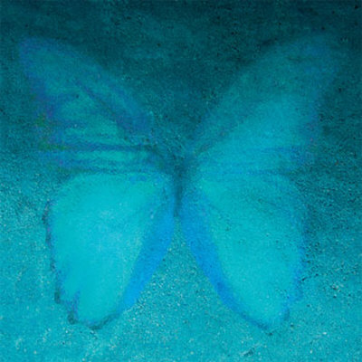 Blue Butterfly by Lente Louisa Pricing Limited Edition Print image