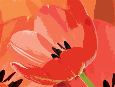 Tulip I by Jan Lens Pricing Limited Edition Print image