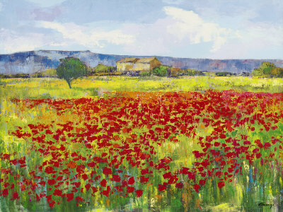 Poppies Ii by Jésus P. Camargo Pricing Limited Edition Print image