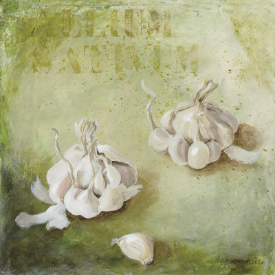 Allium Sativum by Maritta Haggenmacher Pricing Limited Edition Print image