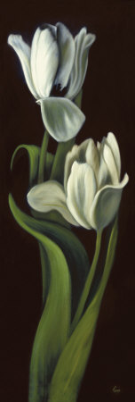 White Tulips I by Pamela Papas Pricing Limited Edition Print image