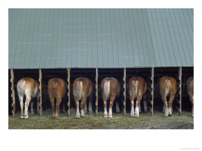 Horses In Stables by Bob Winsett Pricing Limited Edition Print image