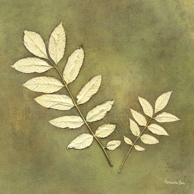 Beech Leaf by Alexandra Bex Pricing Limited Edition Print image