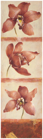 Coral Orchid Trilogy by Fabrice De Villeneuve Pricing Limited Edition Print image