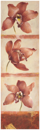 Coral Orchid Trilogy by Fabrice De Villeneuve Pricing Limited Edition Print image