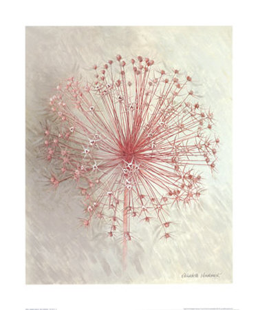 Allium Seedhead I by Elisabeth Verdonck Pricing Limited Edition Print image