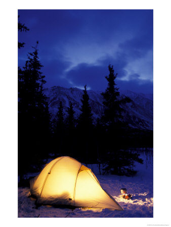 Backpacker's Tent On Iditarod Trail Near Rainy Pass, Alaska, Usa by Paul Souders Pricing Limited Edition Print image