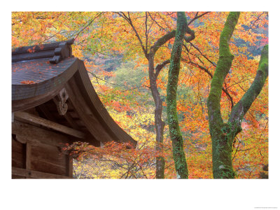 Kibune Shrine, Kyoto, Japan by Rob Tilley Pricing Limited Edition Print image