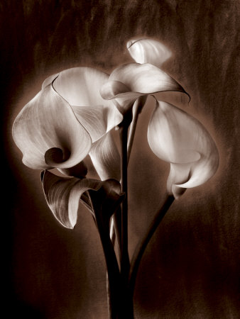 Soft Glow I by Christine Elizabeth Pricing Limited Edition Print image