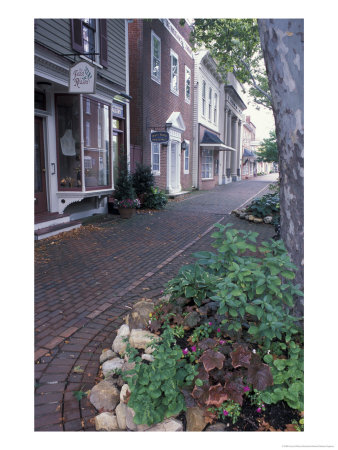 Brick Sidewalks In The Historic District Of Chestertown, Maryland, Usa by Jerry & Marcy Monkman Pricing Limited Edition Print image