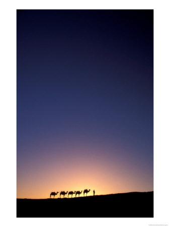 Camel Caravan Silhouette At Dawn, Silk Road, China by Keren Su Pricing Limited Edition Print image